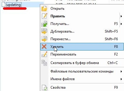 удаление файла заглушки