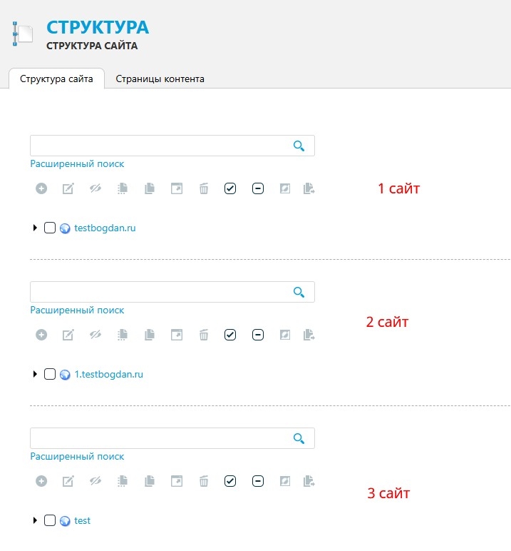 Стуктура мультисайтовость